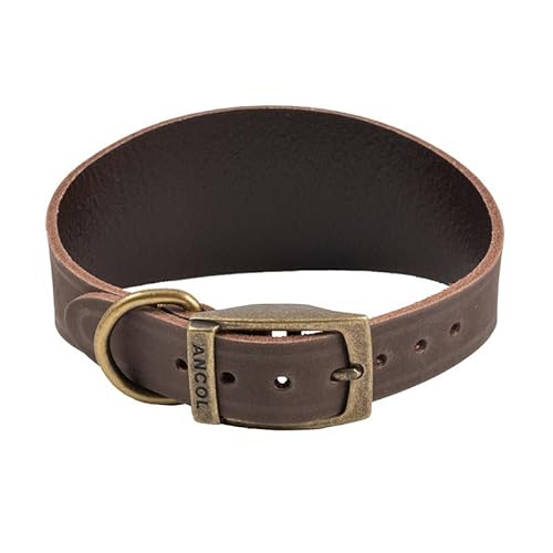 Ancol Timberwolf Leder-Whippet-Halsband, passend für Halsumfang von 30–34 cm von Ancol