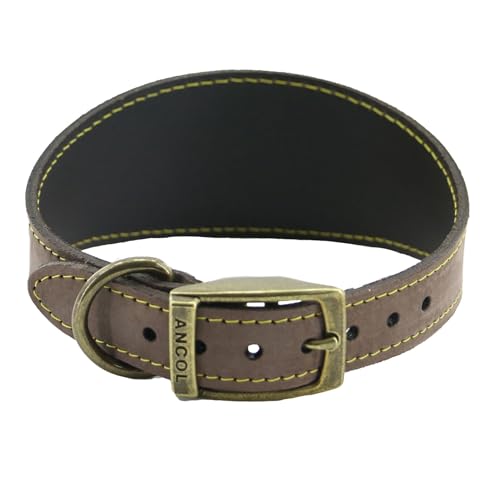 Ancol Timberwolf Leder-Halsband für Windhunde, Größe 34–43 cm, Braun von Ancol