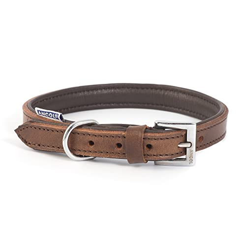 Ancol Strapazierfähiges Vintage-Halsband, gepolstert, Leder, Kastanienbraun, Haustier-Trainingszubehör, 39–48 cm, Größe 5 von Ancol