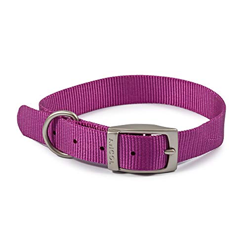 Ancol Viva Leichter Schnallenhalsband, Violett, Halsbandgröße 3, passend für 28–36 cm, wetterfest von Ancol