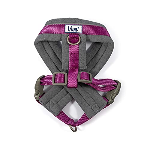 Ancol Viva Hundegeschirr, gepolstert, Größe M, 41-53 cm, Violett von Ancol