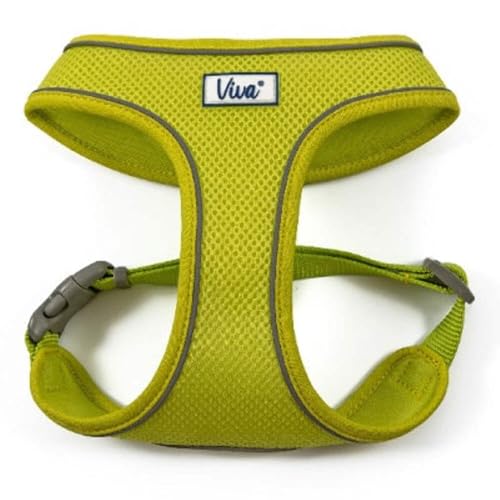 Ancol Viva Hundegeschirr, leicht, atmungsaktiv, bequem, Netzgewebe, 34–45 cm, Größe S, Limettengrün von Ancol