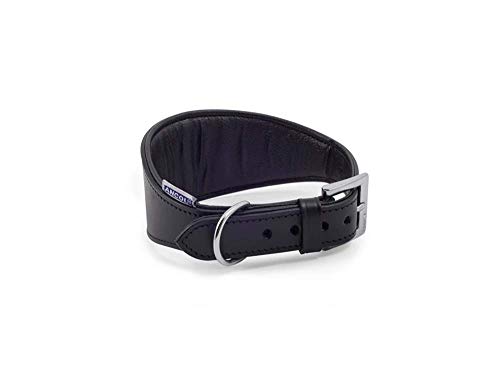 Ancol Windhund Halsband gepolstert Leder, 47 cm, schwarz von Ancol