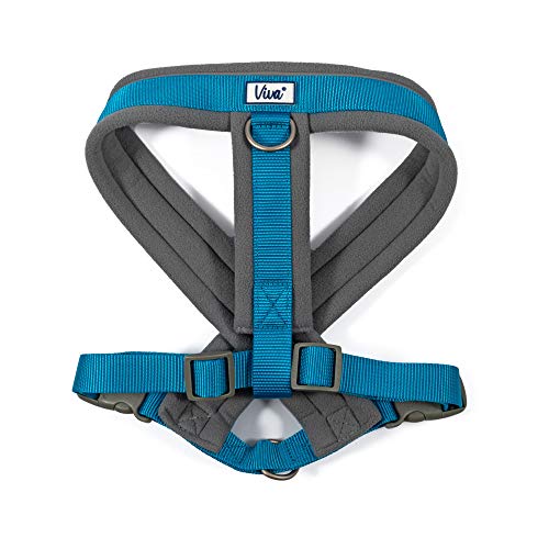 Ancol Viva Hundegeschirr, gepolstert, Größe L, 52–71 cm, Blau von Ancol