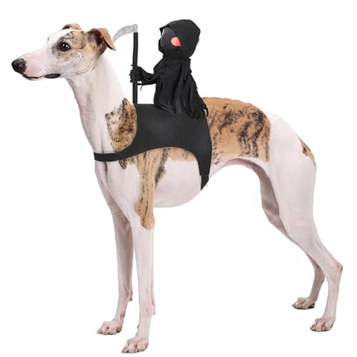 Halloween Haustier Outfit, Ritter-Design Halloween Kleidung Halloween Haustierkostüm Niedliche Und Interessant Haustier Cosplay Kostüme Für Kleine, Mittlere Und Große Hunde Und Katzen von Ancsttu