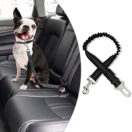 Andiker Hunde Sicherheitsgurte für Autos, Anti-Schock Hund Sicherheitsgurt mit elastischem Nylon Bungee-Puffer, Sicherheit Heavy Duty Elastic Lead Harness für kleine mittelgroße große Hunde (schwarz) von Andiker