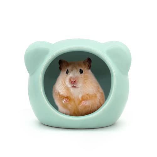 Andiker Hamsterhaus aus Keramik, niedliche Tierform, Hamsterhöhle, Sommer, cooles Kleintierversteck Lebensraum Dekor für Zwerghamster, Rennmäuse, Chinchilla, goldener Seidenbär (grün) von Andiker