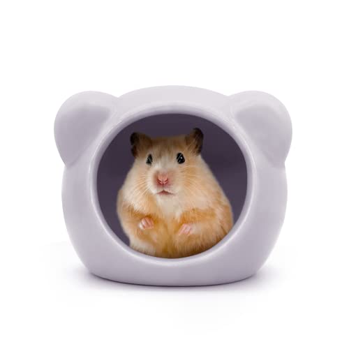 Andiker Hamsterhaus aus Keramik, niedliche Tierform, Hamsterhöhle, Sommer, cooles Kleintierversteck Lebensraum Dekor für Zwerghamster, Rennmäuse, Chinchilla, goldener Seidenbär (lila) von Andiker