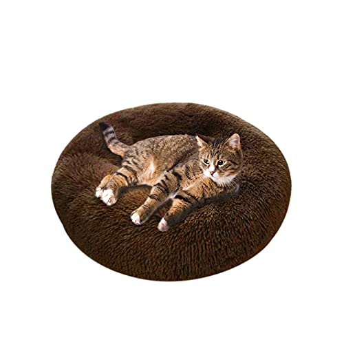 Andiker Plüsch-Katzen-Donut-Bett, weiche Bequeme Katzenbetten für Indoor-Katzen, rundes Kissen-Sofa beruhigendes Katzenkissen Anti-Rutsch für Katzenkätzchen-Welpen (Braun) von Andiker