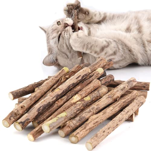 AngelReally Katzenspielzeug-Stick Zähneputzen Katzenminze-Spielzeug-Stick Katzenaktivitätsspielzeug Zähneknirschen Kauspielzeug Katzenspiele für Katzen Kätzchen, Durchmesser 1,5 cm von PONLEE