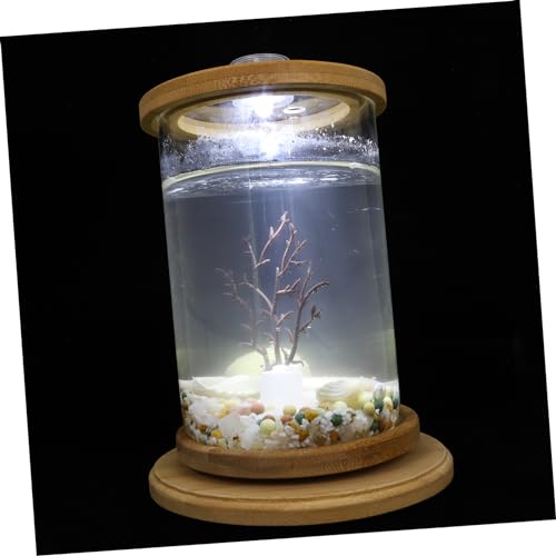 Angoily Bürodekoration Glasbehälter 1 Satz Desktop Micro View Aquarium Kunstpflanze Fischgerichte Gehärtetes Glas Bambus Büro Schreibtischaufsatz Desktop-Dekoration von Angoily