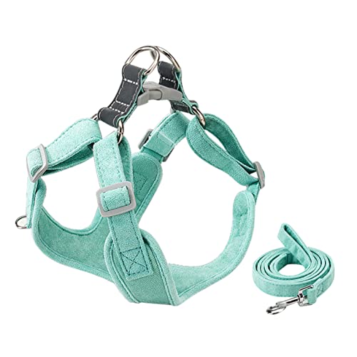 Angoily 1 Satz Haustier Geschirr Hundeleine pet Supplies Haustier-Sommer-Sweatshirt Hundegeschirr Sommer Sommerhemd Autogeschirre für Hunde bequemes Hundegeschirr Heimtierbedarf tragbar von Angoily