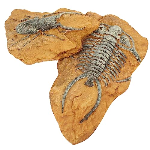 Angoily 10 STK Simuliertes Harzfossil Spielzeug Reptil Haustierkiste Kind von Angoily