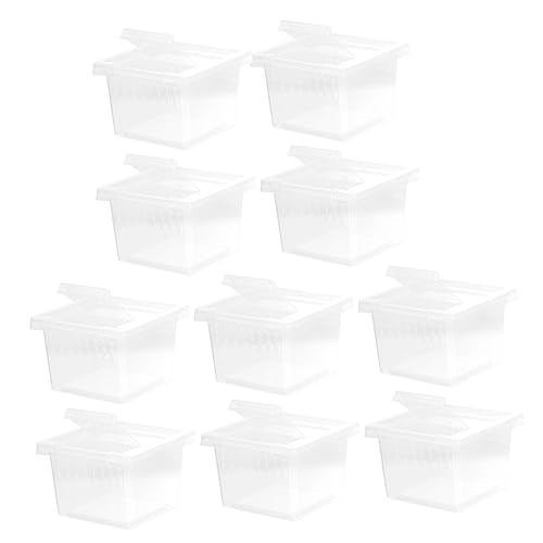 Angoily 10 Stück Schachtel Futterbox Für Reptilien Reptilienbehälter Für Haustiere Etuis Für Die Reptilienhaltung Reptilienfälle Spinnengehege Kleine Quadratische Schachtel Insekt Plastik von Angoily