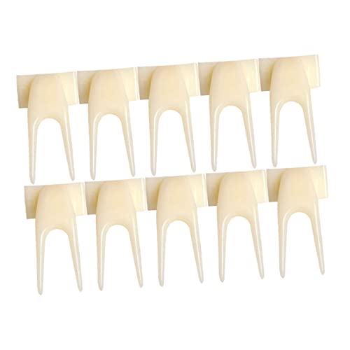 Angoily 15pcs Vogel Fütterung Obst Multi-Zweck Papagei Vogel Obst Sauber Nachfüllbar von Angoily