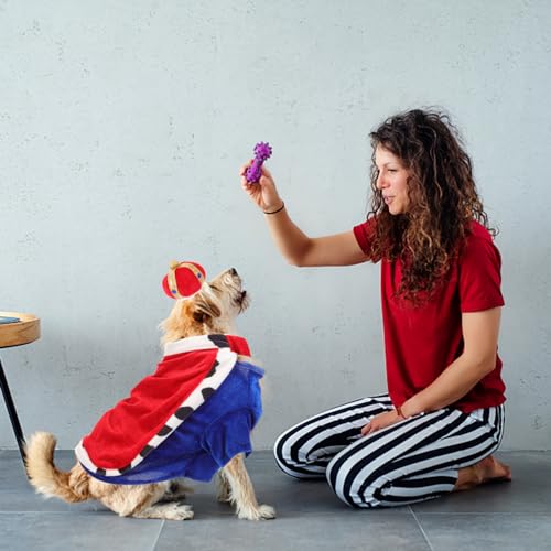 Angoily 2 Sätze Haustierkleidung ädchen Hüte Jungenhüte Königshundekostü Kleidung für Hundemädchen Jungenhemden Hunde Mantel Hund Umhang Halloween Shirt Zweiteiliger Anzug Hut Stoff von Angoily