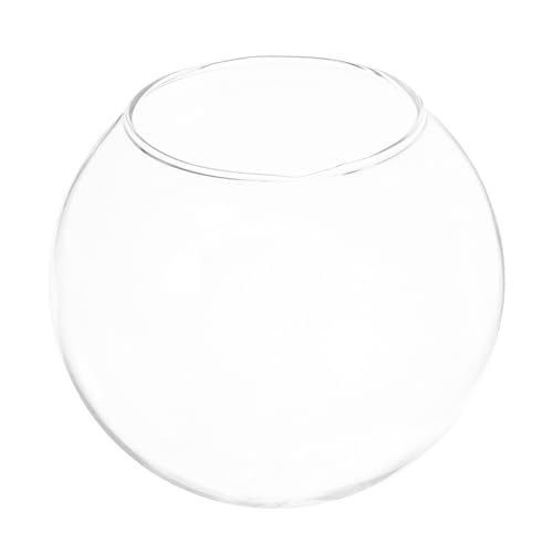 Angoily 2St Hamster Nest aus Glas Hamsterglasbadewanne Haustierhütte aus Glas Hamsterhütte Hamsterversorgung warm halten Container Haustierzubehör Chinchilla Glasfossa von Angoily