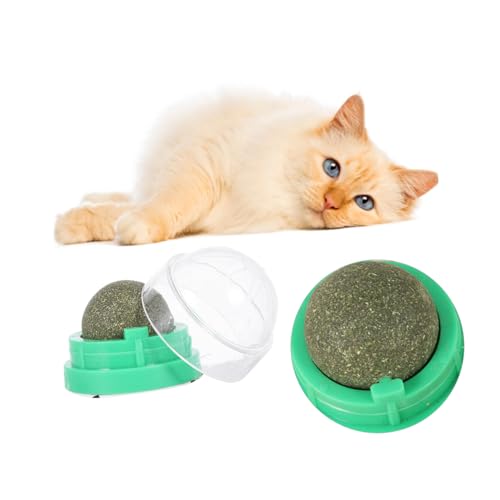 Angoily 2St Katzenspielzeug mit Pfefferminzbonbons Sachen Twerking-Spielzeug Spielzeuge Katze leckt Ball katzensnacks süßigkeiten Kätzchen Süssigkeit Geschenk Snacks für Katzen rotieren von Angoily