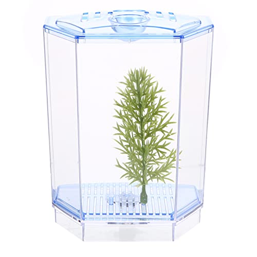 Angoily 2st Betta-Box Dekorationen Für Aquarien Desktop-Aquarium Desktop- Mini-Aquarium Aus Kleines Aquariumbecken Minifisch Leichter Schreibtisch Büro von Angoily