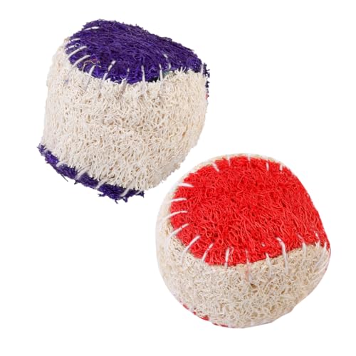 Angoily 2st Luffa-Spielzeug Für Haustiere Tennisbälle Für Hunde Katzenspielzeugbälle Hundetraining Unverwüstliches Hundespielzeug Welpenfangspielzeug Hundejagdspielzeug Hundeball Kauen von Angoily