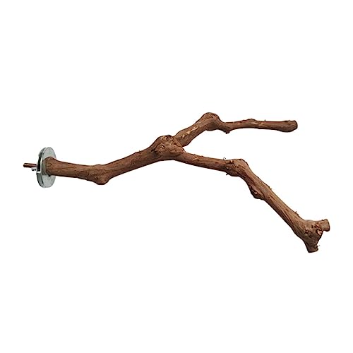 Angoily 3 Stück Papageien-trainingsspielzeug Vogel-papageien-schaukelspielzeug Vogelkäfig-Spielzeug Vogel-trainingsspielzeug Haustier-kauspielzeug Holzspielzeug Angoily 3 Stück Papageien-trainingsspielzeug Vogel-papageien-schaukelspielzeug Vogelkäfig-Spielzeug Vogel-trainingsspielzeug Haustier-kauspielzeug Holzspielzeug von Angoily