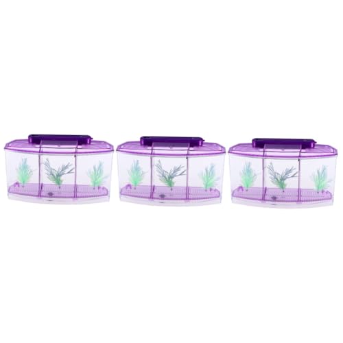 Angoily 3St Kinder Aquarium Aqua Safe Aquarium Heimaquarium Mini auarium Mini-Aquarium Mini Aquarium miniaqarium Desktop-Aquarium Goldfischbecken klein Betta-Box braten Büro Violett von Angoily