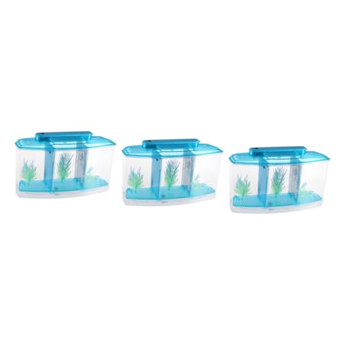 Angoily 3 Stücke Desktop Aquarium Mini Tank Für Einfach Zu Pflegen Und Dekorative Für von Angoily