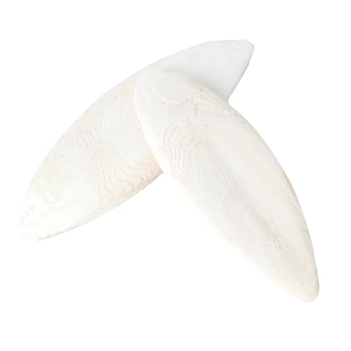 Angoily 8 STK Cuttlebone für Vogelsittiche Vogel hängen Spielzeug Hamster Spielzeug hamsterspielzeug Spielzeuge Cuttlebone Kauspielzeug Cuttlebone-Beißspielzeug Haustier Snack von Angoily