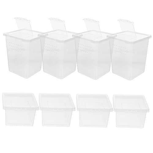 Angoily Tier 8st Fütterungsbox Gecko-zuchtbox Züchter Von Inkubationsbox Glass Container Bärtiger Fall Mini- Landschildkröten Zubehör Reptil Pp-Material Muschelschale Springende Spinne von Angoily