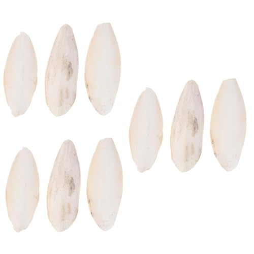 Angoily 9 STK Tintenfischhalter Leckereien für Sittiche nager Spielzeug löthilfe Knochen Spielzeuge Cuttlebone-Beißspielzeug Cuttlebone Kauspielzeug kriechen Lebensmittel Anhänger Käfig von Angoily