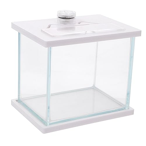 Angoily Aquarium Glas-Container Mini-Container Miniaturbausatz Klares Fischbecken Betta-fischschale Kleines Terrarium Miniaturdekoration Glasbehälter Weiß Goldfischglas Büro Schreibtisch von Angoily