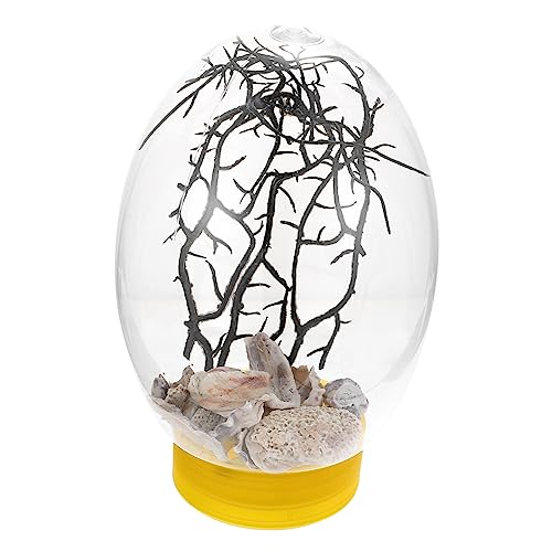 Angoily Desktop-Aquarium -Terrarium Durchsichtige Kunststoffbehälter Mini- Tischfischbecken Terrarien Klarglas-Aquarium Aquarium-kit Winzig Plastik Suite Klein von Angoily