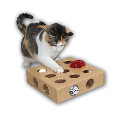 Angoily Spielzeuge Spielzeug Hölzern Schatzkiste Die Katze Katzenspielzeug von Angoily