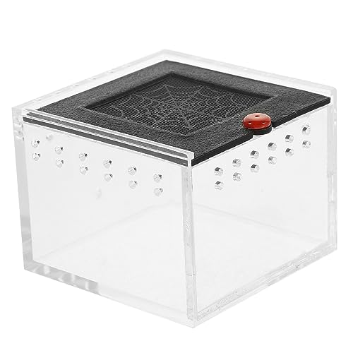 Angoily Vogelspinnenkäfig Reptilienterrarium Futterboxen Für Reptilien Klarsicht-züchterfälle Frosch Terrarium Kleine Zuchtboxen Reptilienbehälter Für Haustiere Der Zaun Acryl Glas von Angoily