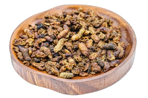 Anhaltiner Seidenraupenpuppen 1kg getrocknet Wildvogelfutter Vogelfutter proteinreicher Snack für Wildvögel Ergänzungsfutter von Anhaltiner Premiumfutterspezialist