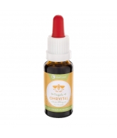 OHRVITAL Propolis Ohrenpflegetropfen von AniCanis