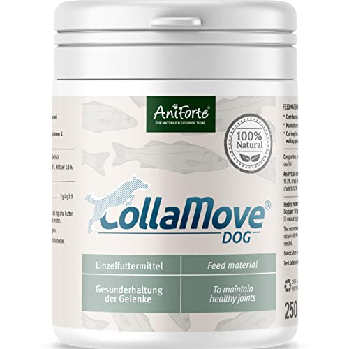 AniForte Marine Kollagen Gelenkpulver für Hunde CollaMove 250g – Fisch Collagen unterstützt Gelenke, Sehnen & Bänder – Naturprodukt für Gelenkfunktion & Agilität von AniForte