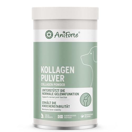 AniForte Marine Kollagen Gelenkpulver für Hunde CollaMove 450g – Fisch Collagen unterstützt Gelenke, Sehnen & Bänder – Naturprodukt für Gelenkfunktion & Agilität von AniForte