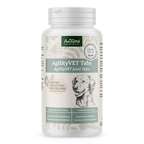 AniForte Gelenktabletten Hund AgilityVet 300 Stück - Natürlich & getreidefrei, mit Grünlippmuschel, Teufelskralle, Kollagen Pulver & Weihrauch für Hunde Gelenke & Sehnen von AniForte