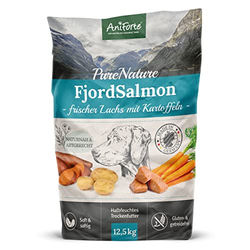 AniForte Lachs Trockenfutter für Hunde 12,5kg – Frischer Lachs mit Kartoffeln & Vitaminen, Halbfeuchtes Trockenfutter, Hundefutter trocken getreidefrei & glutenfrei für Allergiker von AniForte