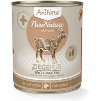 AniForte Nassfutter Ziege Pur (6 x 400g) 4,8 kg von AniForte