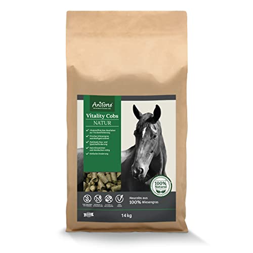 AniForte Natur Heucobs Pferd 14kg - Vitality Cobs, Raufutter zur Trockenfütterung, Heuersatz, Pferdefutter ohne Einweichen oder Anmischen, optimale Kau- & Speichelförderung, Grascobs staubarm von AniForte