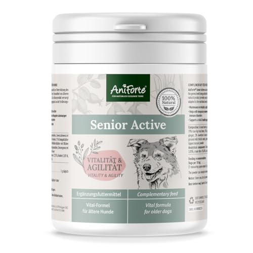 AniForte Senior Active Pulver 250 g für ältere Hunde - Mineralien, Aminosäuren & Vitamine für Hunde, unterstützt Gedächtnis- & Herzfunktion, Grünlippmuschel für Vitalität & Agilität, Senioren Futter von AniForte