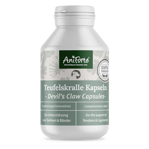 AniForte Teufelskralle Gelenk Kapseln für Hunde 100 Stück - Gelenktabletten als praktische Kapsel, 100% Naturprodukt Gelenke Pulver, Hohe Akzeptanz beim Hund von AniForte