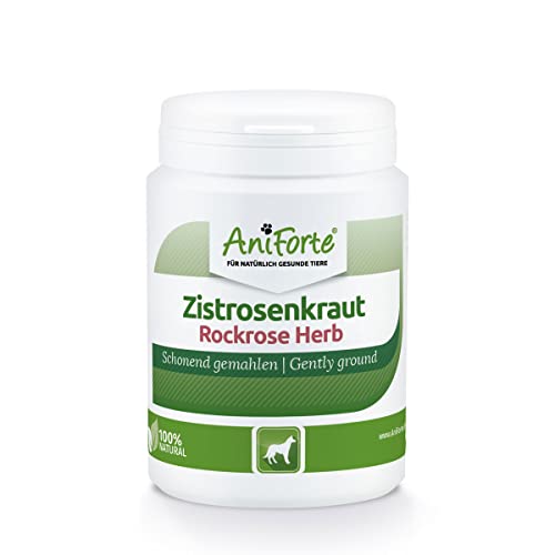 AniForte Zistrosenpulver Hund 100g - Natürliches Zistrosenkraut Pulver, Cistus incanus, Vitamine für Hunde, Zistrose stärkt Immunsystem & fördert Stoffwechsel, Keine Kapseln von AniForte