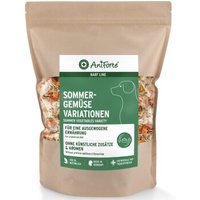 AniForte BARF- Line Sommergemüse Variationen 1kg von AniForte