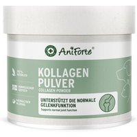 AniForte Kollagen CollaMove Kollagen 250 g von AniForte