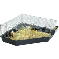 AniOne Nagereckkäfig Semiramis AniOne Nagereckkäfig Semiramis von AniOne