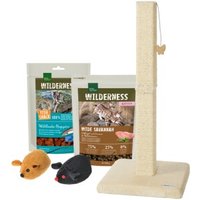 AniOne REAL NATURE WILDERNESS Starterpaket für Kitten + Kratzbaum von AniOne