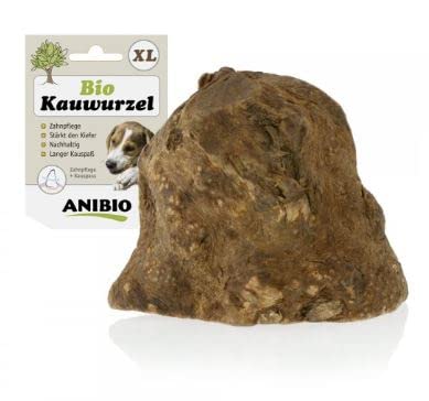 Anibio Bio Kauwurzel XL - Kau Wurzel - Heidebaum - langes Kauvergnügen für gesunde Zähne! - Zahnpflege + Kauspaß von Anibio